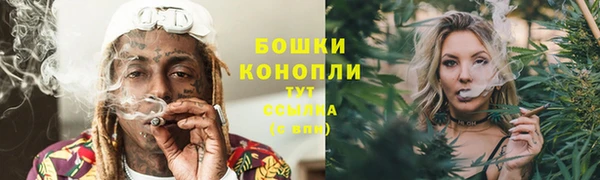 спиды Каменногорск