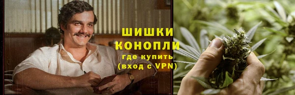 СК Каменск-Шахтинский