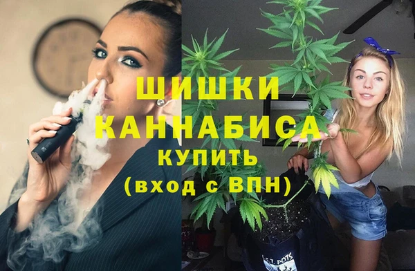 СК Каменск-Шахтинский