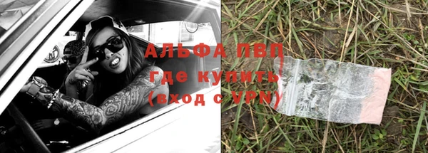 спиды Каменногорск