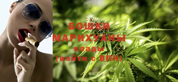 спиды Каменногорск